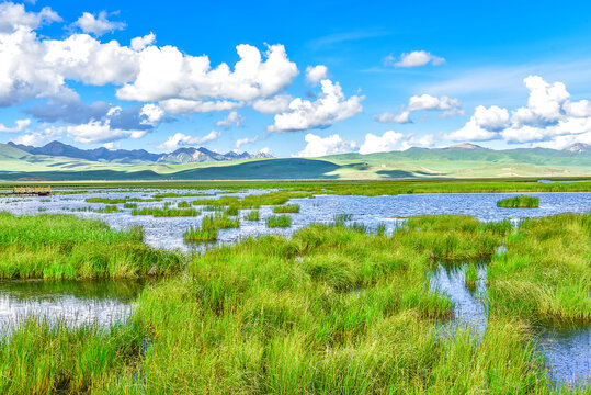 高原湿地