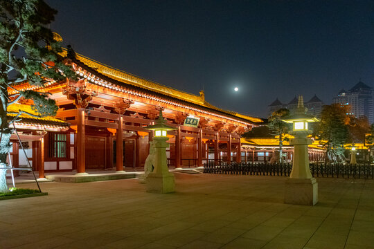 兴庆宫带月夜景
