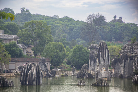 云南昆明大石林风景区