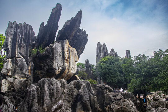 云南昆明大石林风景区