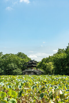 杭州西湖亭台楼阁古建筑