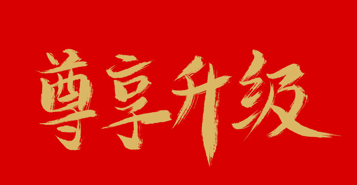 尊享升級