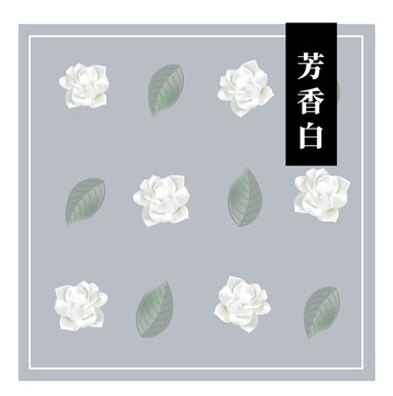 中式傳統(tǒng)花卉植物紋理印花圖案