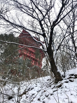 三靖阁后面的冬雪