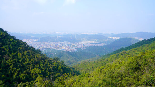 山林城市东莞风光