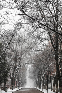 雪后马路