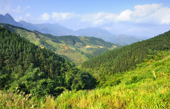 岭南自然景观