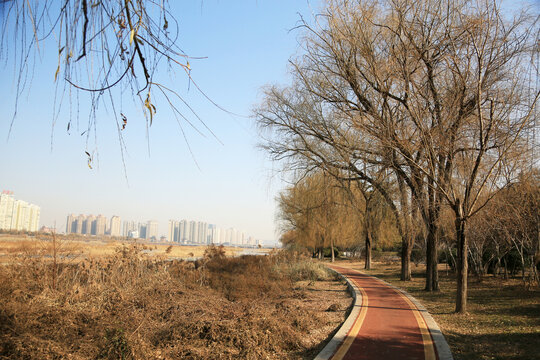 河岸垂柳步道