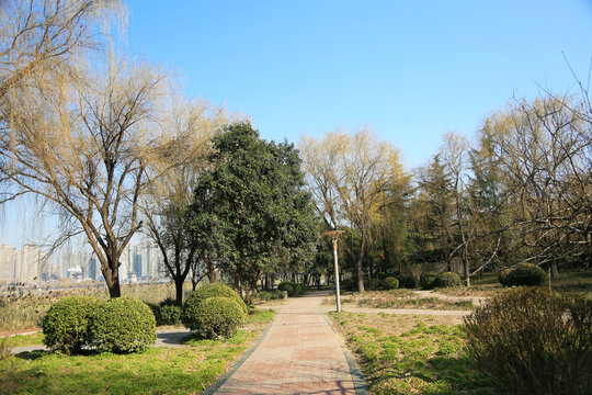 园林金秋步道