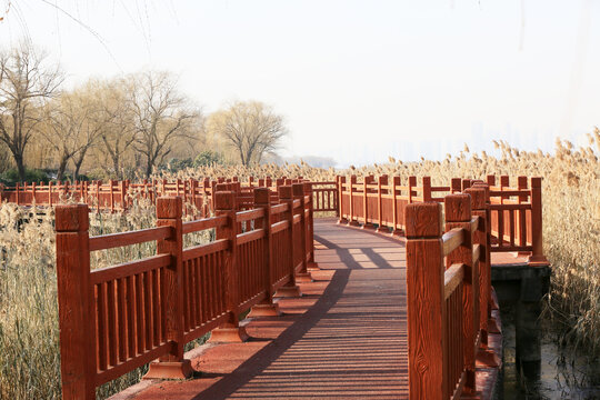 湿地公园栈桥