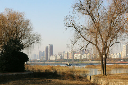 河岸风光