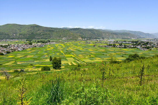 夏日乡村风光