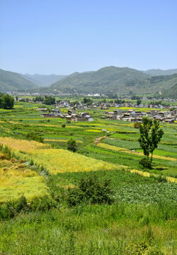 夏日乡村风光