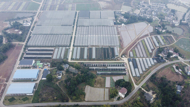 航拍大棚蔬菜种植基地