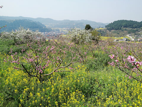 山区春色