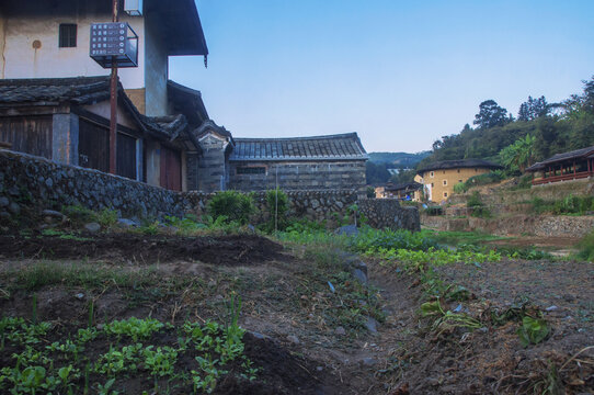 永定洪坑乡村菜地农家建筑