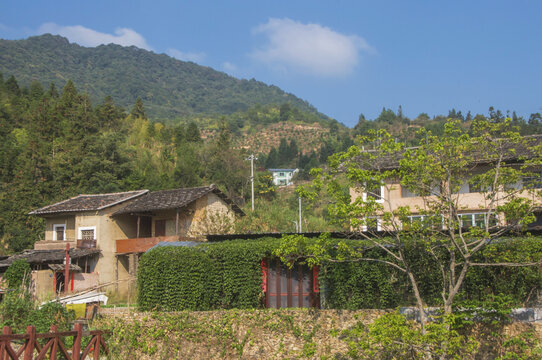 永定洪坑农村风光