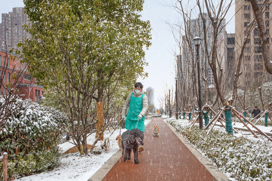 庐州铁线公园雪景