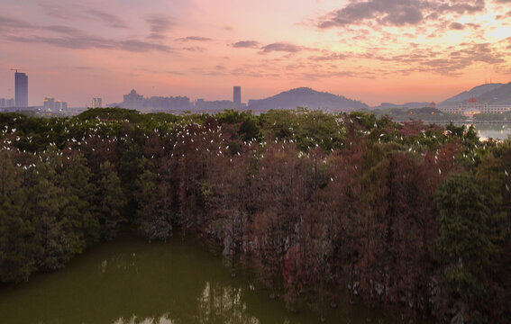 顺德晚霞顺峰山