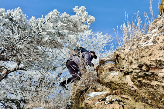 雾淞中的登山者