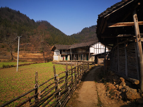 乡间道路