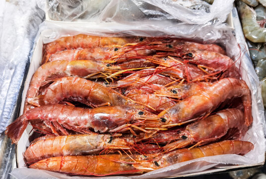 深海大红虾