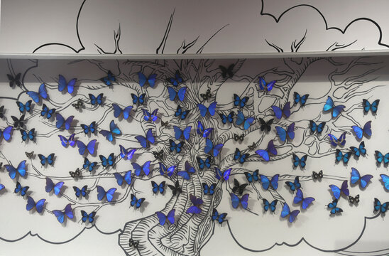 陕西自然博物馆蝴蝶墙