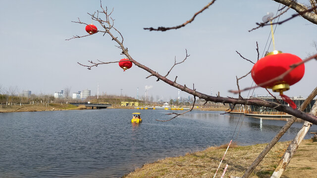 河岸灯笼