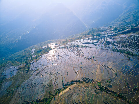 云南红河县撒玛坝梯田