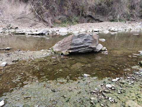 河里的大石头