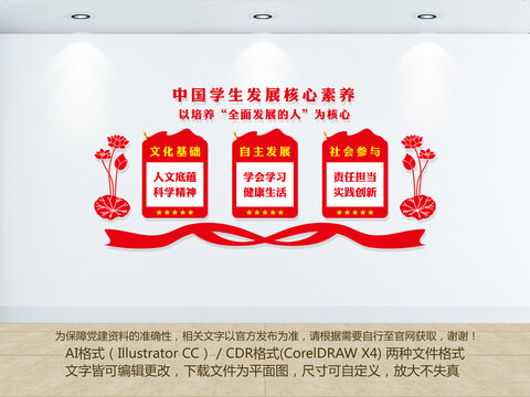 中國(guó)學(xué)生發(fā)展核心素養(yǎng)