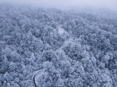 航拍雪景树林森林冬季