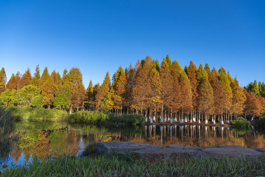 滇池湿地