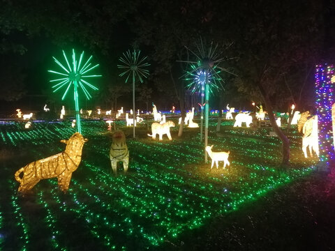 夜景灯光霓虹灯节日彩灯动物