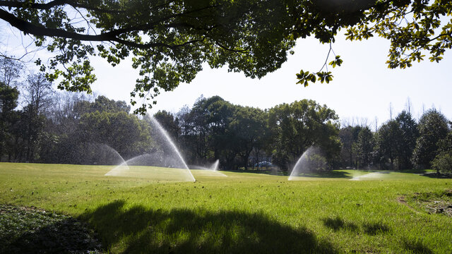 城市草坪草地洒水喷水