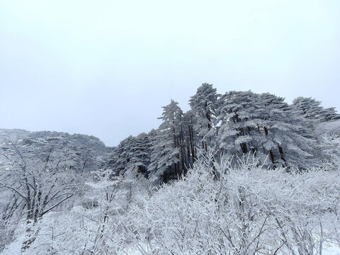 黄山风光