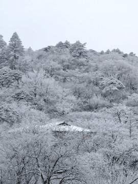 黄山风光