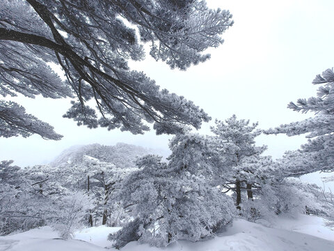 黄山雪景