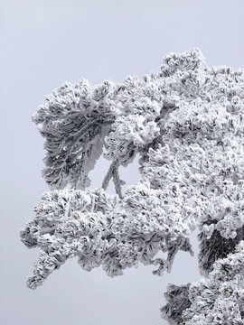 黄山雪景