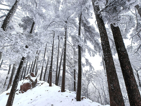 黄山雪景