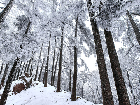 黄山雪景