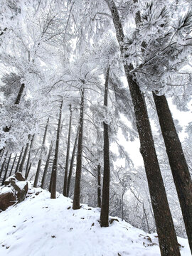 黄山雪景