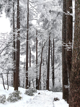 冬季黄山