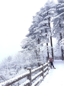 冬季黄山