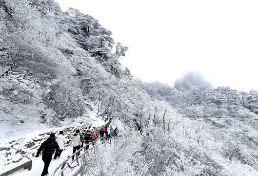 冬季黄山