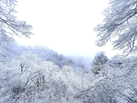 冬季黄山