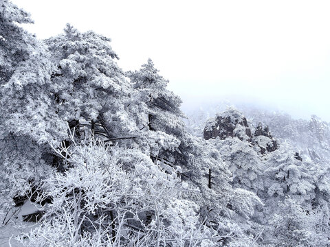 冬日黄山