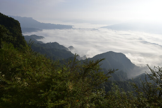 高山云海