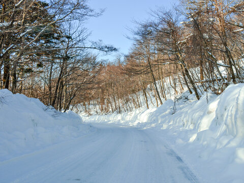 雪路