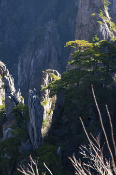 高山峡谷